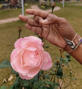 Akash Mudra Yoga