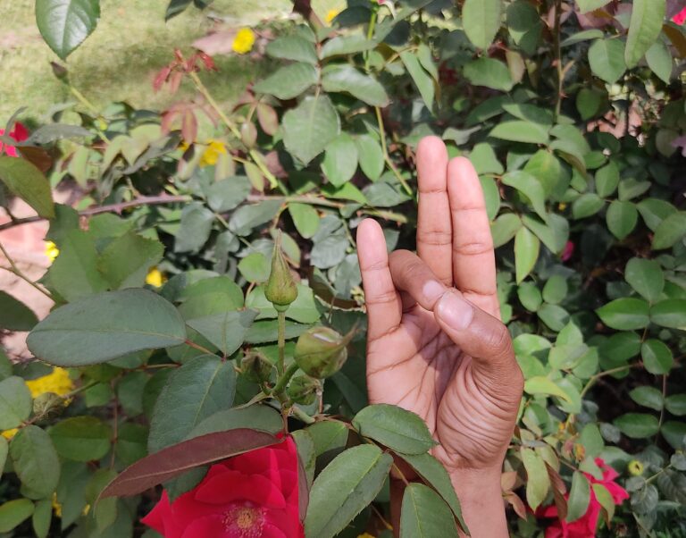 Prithvi Mudra Eartj